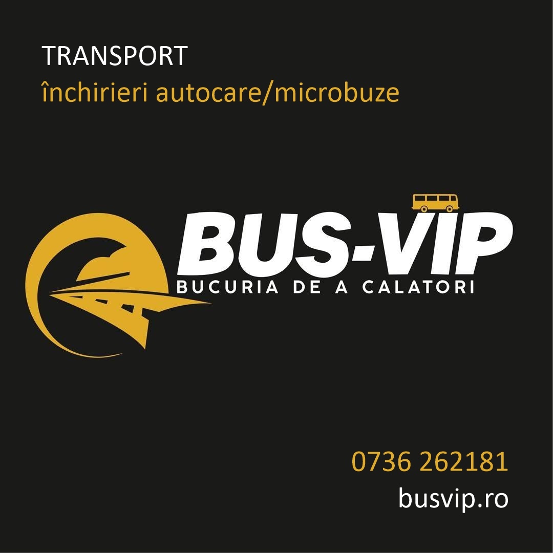 Bus-VIP