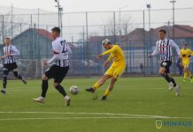 Raphael Stănescu a fost suspendat de FRF pentru trucarea unui meci !