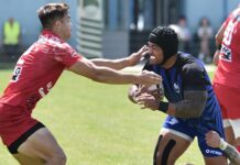 Diferență de 30 de puncte între ”zimbri” și ”militari”