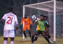 Ghanezul Gogo este al șaselea jucător transferat de sigheteni