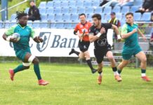 Zimbrii s-au oprit înainte de sută